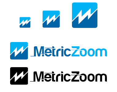 Several Iterations of the MetricZoom Logo.